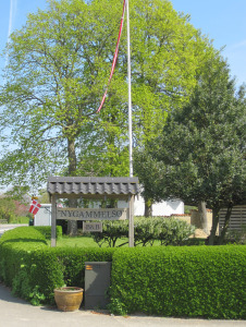 nygammelsø
