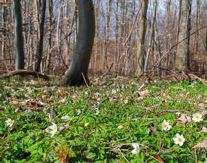 IMG_0895    22 mm 1-200 sec at f - 7,1 ISO 100 Canon EOS M